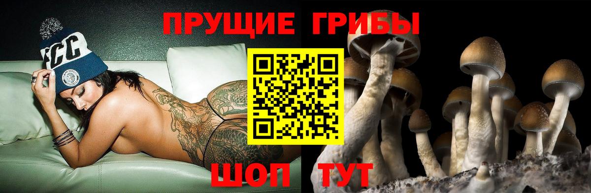 Луховицы  Псилоцибиновые грибы Cubensis  Вход с VPN 